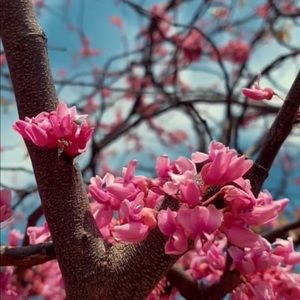 Meet your Posher, Michaela